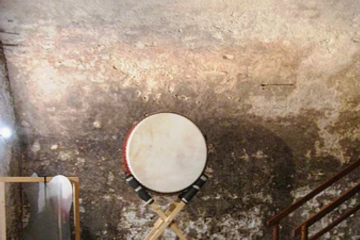 immagine decorativa