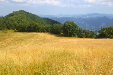 Copertina sito La Natura della Mente 