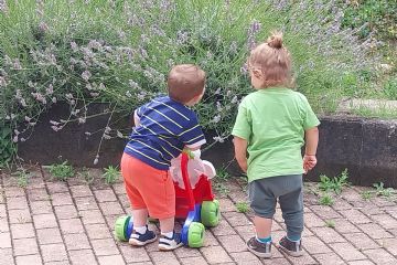 Pubblicazione graduatorie Asilo Nido e Spazio Bambini – Anno educativo 2026/2027