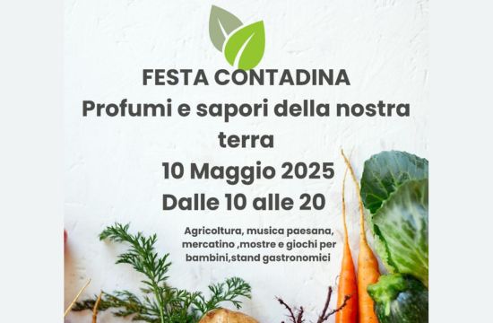 Festa Contadina