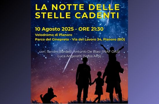 La notte delle stelle cadenti
