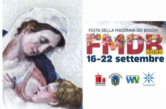 Festa della Madonna dei Boschi