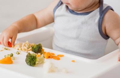 Alimentazione complementare: quando e come. Nuove evidenze e falsi miti foto 