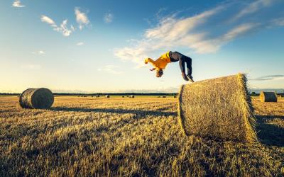 Percorso gratuito di Parkour a Rastignano foto 