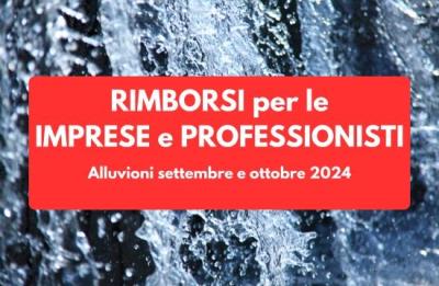 RER: contributi alle imprese e ai professionisti foto 