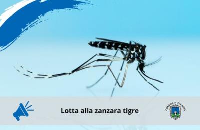 Lotta alla zanzara tigre foto 