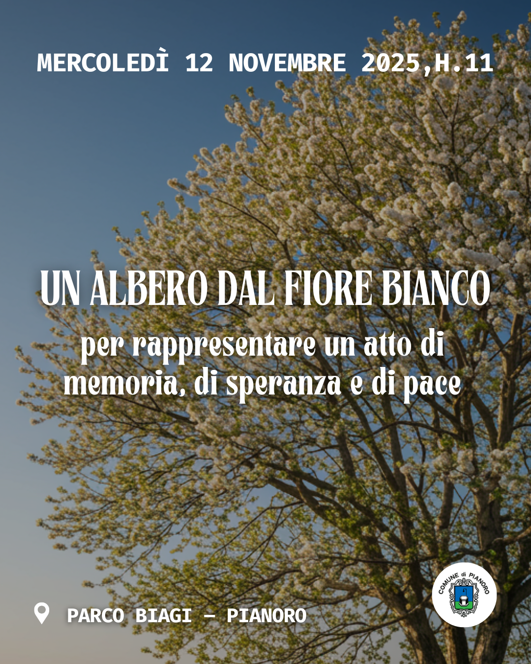 Un albero dal fiore bianco